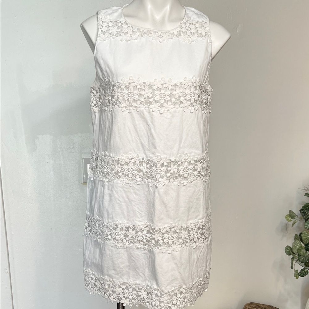 J. Crew Sleeveless Crochet Lace Stripe Mini Dress